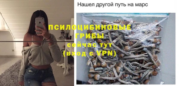 дмт Няндома