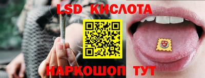 крисы Бийск