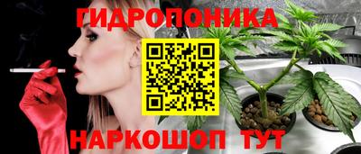 крисы Бийск