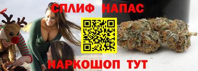 ECSTASY Заводоуковск