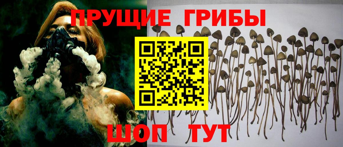 Галлюциногенные грибы Magic Shrooms  Вход с VPN  купить   Кумертау 