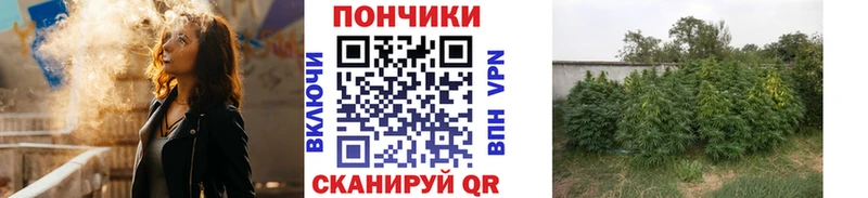 купить закладку Кумертау Бошки марихуана планчик